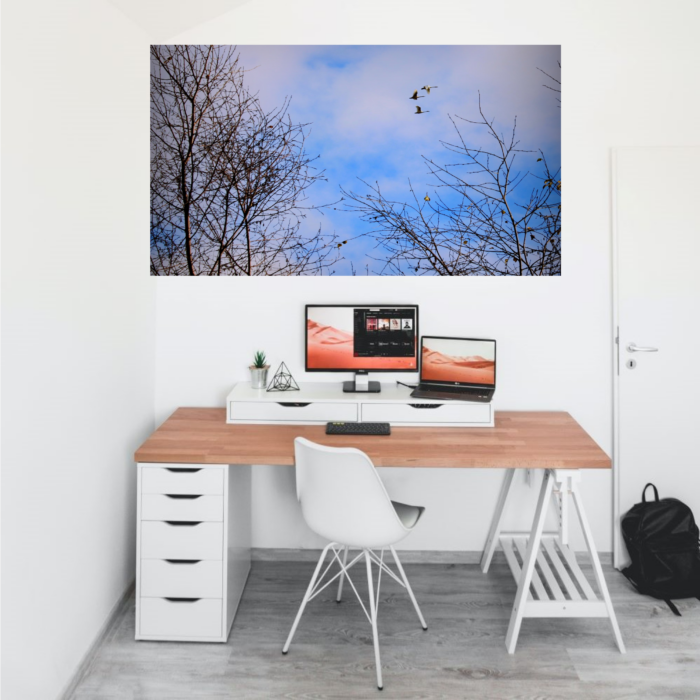 Uplifting image raises the energy of small office space